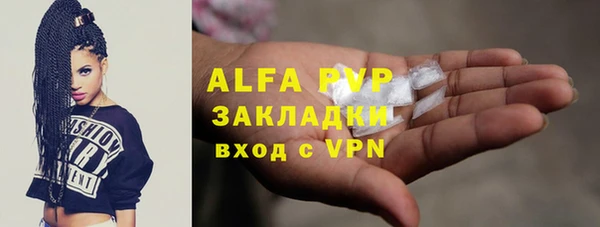 индика Балабаново