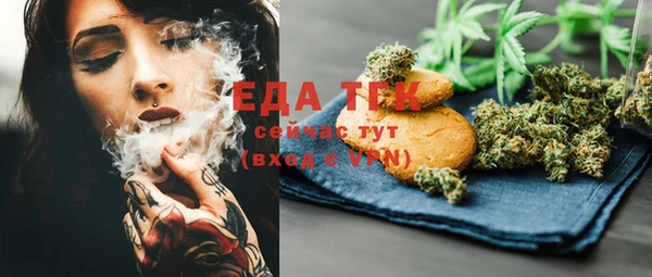 индика Балабаново