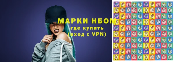 индика Балабаново