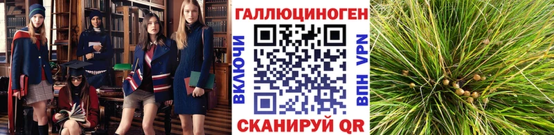 Псилоцибиновые грибы Magic Shrooms блэк спрут ТОР Вольск